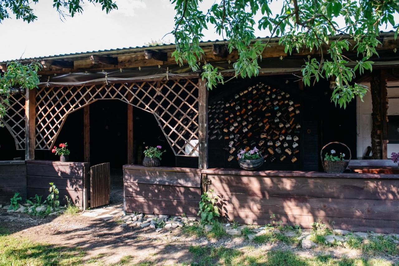 Zagroda Chryszczata Smolnik  Exterior foto